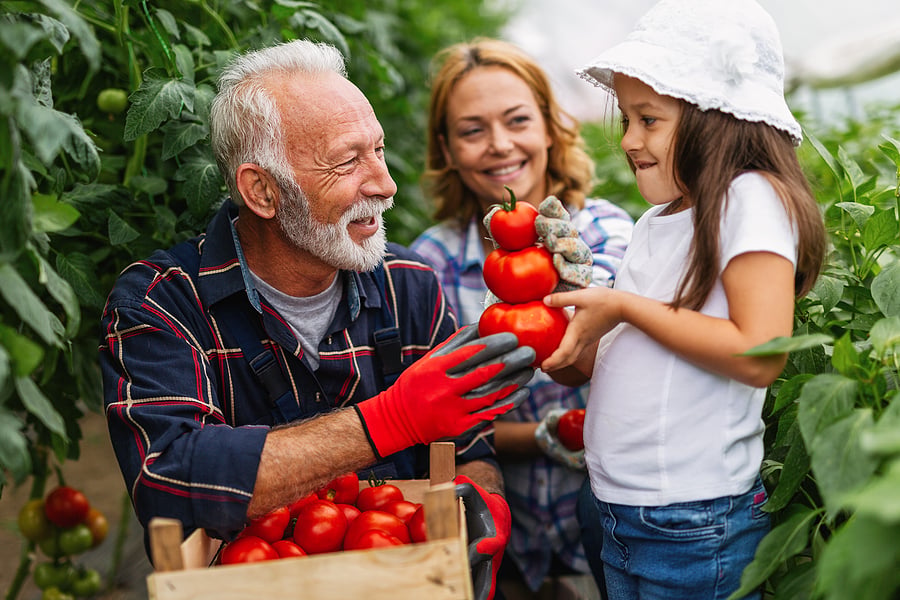 The Evolving Realities Around Succession in Family Businesses